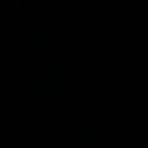 Meet your Posher, Selena